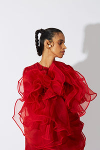 SKYE STRACKE BOTTLEBRUSH ORGANZA DRESS RED