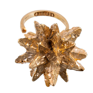 QUOD Interstellar Ring